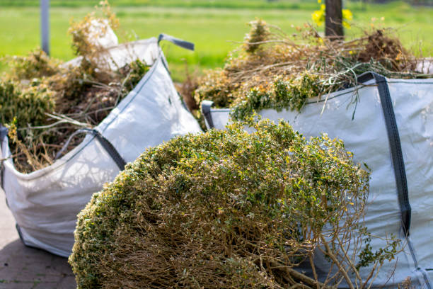 Professional Junk Removal in New Deal, TX